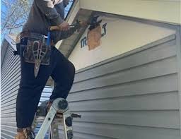 Best Siding Painting and Refinishing  in Warsaw, VA